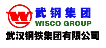 武漢鋼鐵集團有限公司